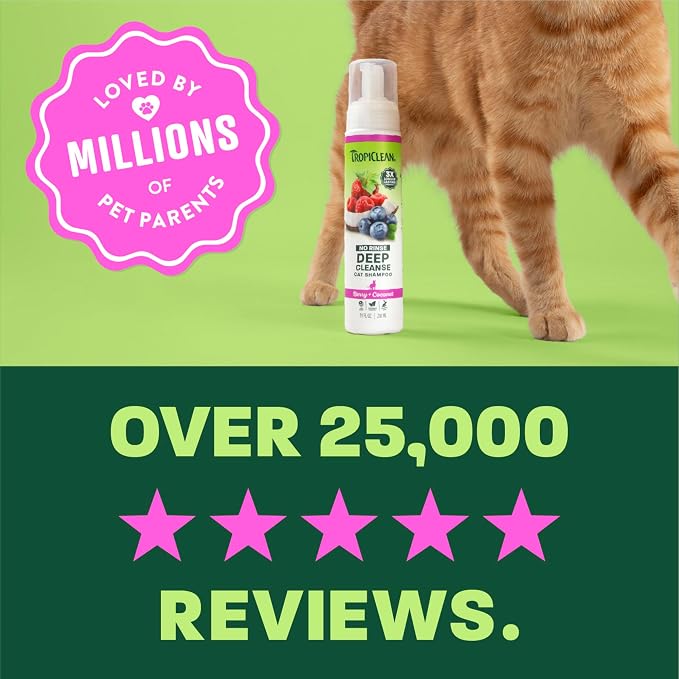 TropiClean Berry & Coconut Waterless Cat Shampoo | Deep Cleansing Dry Shampoo for Cats | Natural Cat Shampoo Derived from Natural Ingredients | Made in the USA | 7.4 oz.