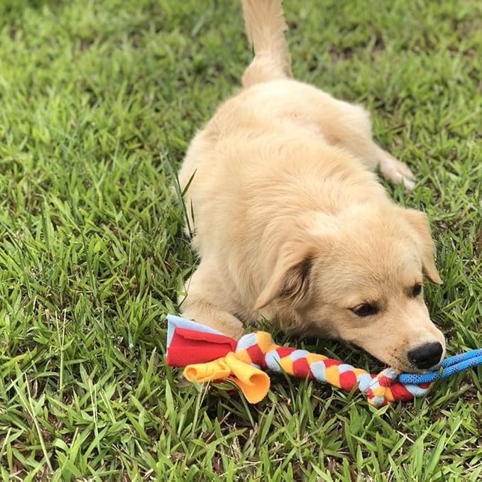Dewonch Dog Fleece Rope Teaser Toy as Replacement to Chase and Tug (A-2PCS)