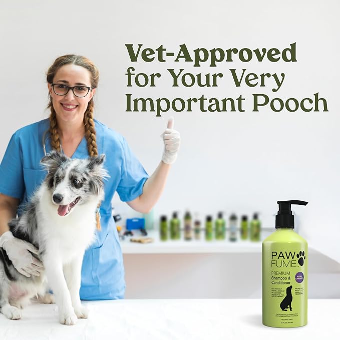 PAWFUME Dog Shedding Shampoo and Conditioner, Royal Lavender, 1-Pack | Probiotic pH-balanced deep-cleaning formula nourishes and detangles silky coats, salon-quality Shedding Shampoo for Dogs