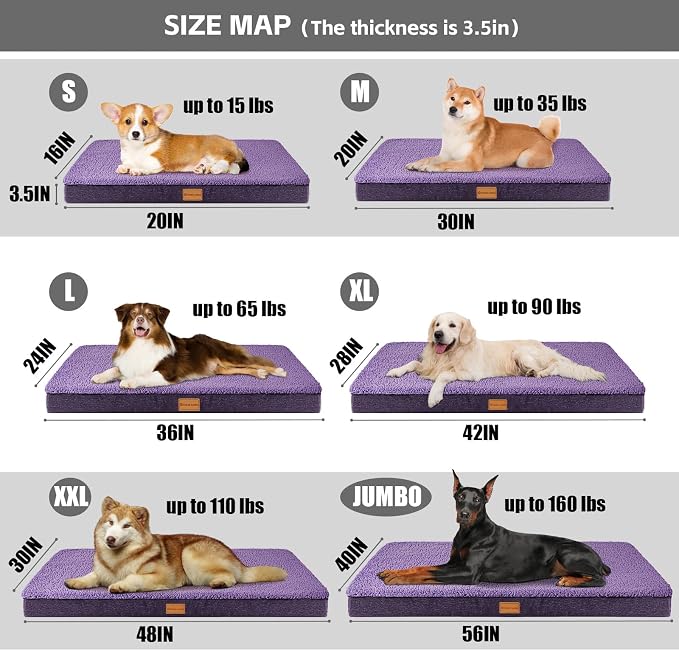 Patas Lague Orthopedic Large Dog Bed Washable Pet Sofa Mat 56''X40''Purple | Egg-Crate Foam Dog Couch For Large Sized Dogs, Waterproof Removable Cover, Soft Pet Crate Bed With Nonskid Bottom