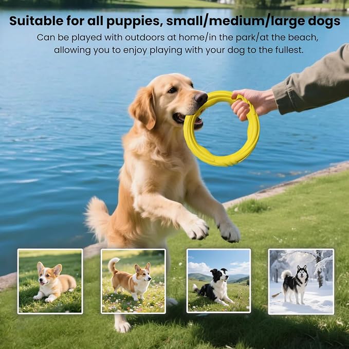 Indestructible Dog Ring Toy, Rubber Soft Dog Chew Toys, Small Medium Large Dogs Frisbee for Aggressive Chewers,Suitable for Tossing, Pulling Training-6.69in Flying Disc (1 Ring)