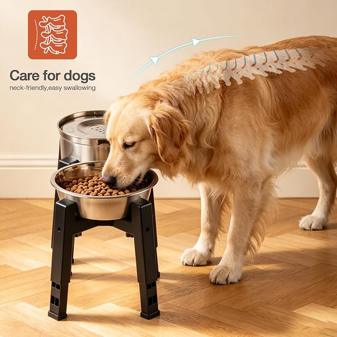 Marchul Elevated Dog Bowl with Stand, 2.5L Food Bowl and 3.3L Splash-Proof Floating Water Bowls with Large Capacity Stainless Steel, Adjustable Height & Width, Anti-Slip Stand for Medium Large Dogs
