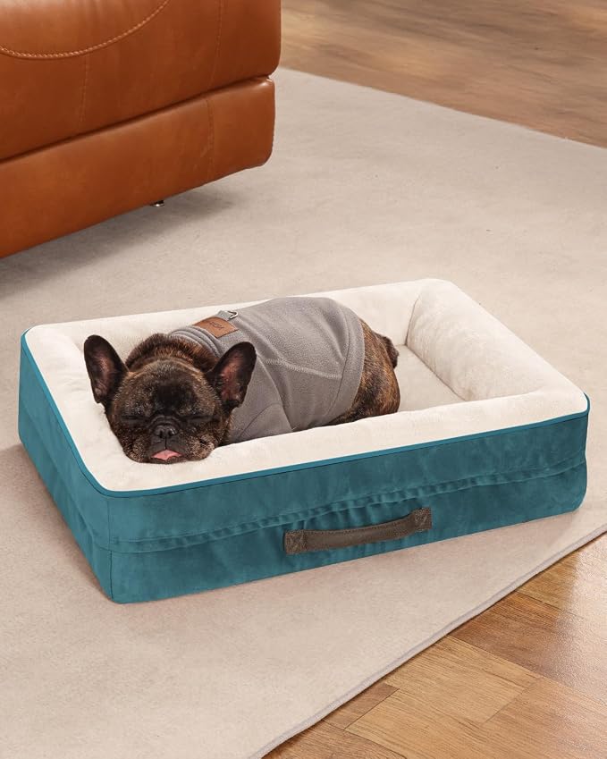 Upvilla Orthopedic Dog Bed, Four-Sided Cushioned Egg-Shaped Foam Dog Sofa, Waterproof Removable Cover, Cat Bed with Non-Slip Base, Small Pet Bed,Blue