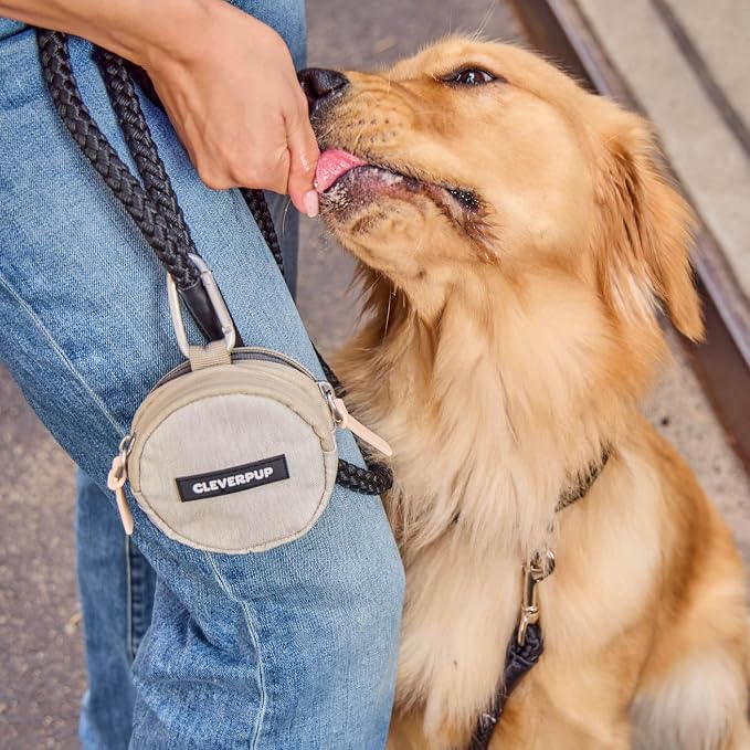 Snackpack Double Insulated Dog Treat Pouch – 1.5 Cup Capacity, 2 BPA-Free Waterproof Zipper Pockets, Carabiner for Belt/Leash – Compact Training & Travel Bag – Sand