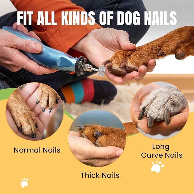 CAELUM Diamond Dog Nail Grinder Bit, 80 Grit Pet Nail Grinder Attachment for Large & Small Dogs, 1/8" Shank Fits Dremel Rotary Tools, Low Noise Nail Trimming Bit for Home Grooming
