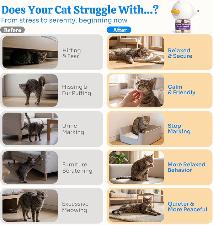 Cat Calming Pheromone Diffuser Kit, Stress Relief, 1 Plug-in 2 Refills | Odorless drug-free formula, 60-day anxiety relief, anti-leak low-temp plug, fits indoor multi-cat scratch fight hiding issues