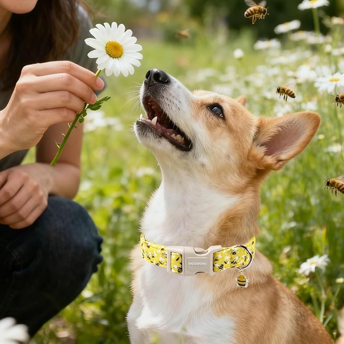 DOGWONG Cute Cotton Dog Collar for Small Medium Large Dogs Cute Yellow Bee Dog Collar for Boy Girl Dogs,XL