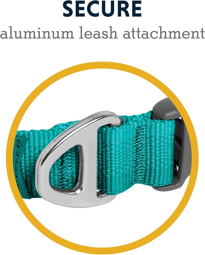 Ruffwear, Front Range Dog Collar, Adjustable Tubelok Webbing, Lightweight, Side Release Buckle, Aluminum V-Ring, Durable for Everyday Use, Aurora Teal, 14"-20"
