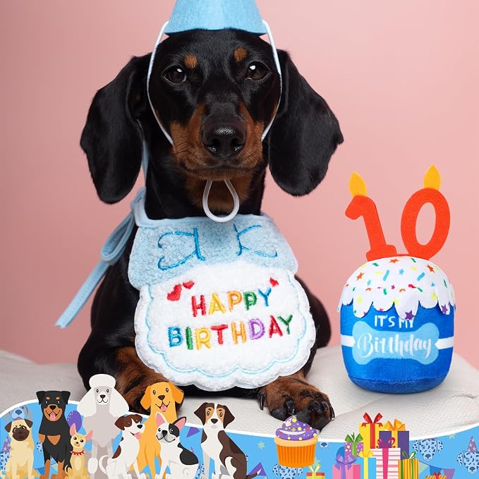 Dansydaisy Dog Birthday Cake Toy Squeaky Plush Toy for Girl Boy Gifts, Chew Accessories for Dog Birthday Party Decor Favor for Large, Medium and Small Dogs(10th,Blue)