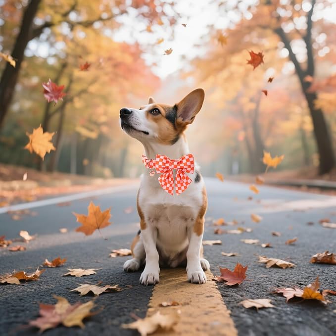 DOGWONG Orange Pink Plaid Dog Collar with Bow - Adjustable and Comfortable Autumn Dog Collar Fall Necklace for Large Medium Small Pet,S