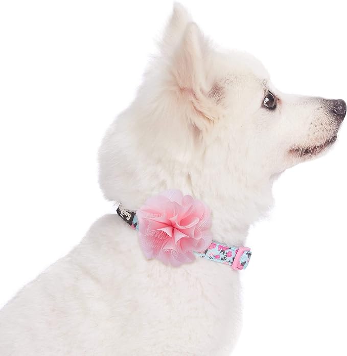 Blueberry Pet Made Well Cute Floral Print Adjustable Dog Collar in Light Blue with Pink Artificial Silk Flower, Large, Neck 18"-26"