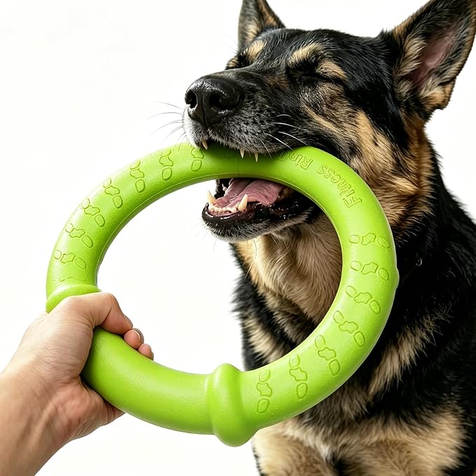 LaRoo Dog Toys for Medium/Large Dogs, Floatable Dog Flying Discs 3 Sizes Pool Toy, Interactive and Tug of War Ring Toy, Funny Fetch Teething Toys (Green, 11.8“)