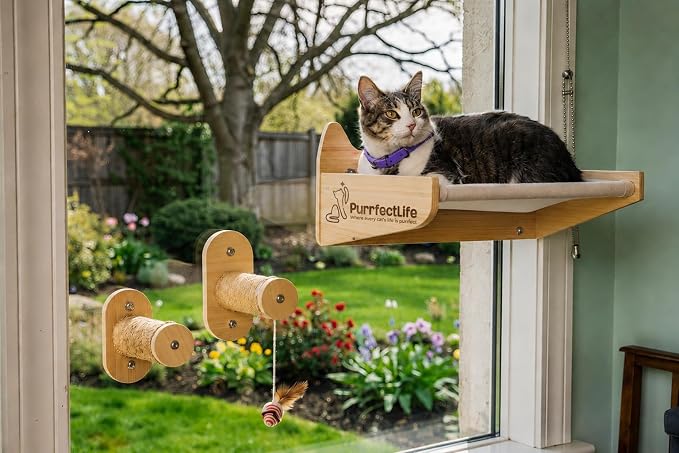 Cat Window Perch for Indoor Cats – 2-in-1 Solid Wood Cat Hammock Window Seat & Wall Mount with 9 Suction Cups, Climbing Steps + Hanging Toy – Supports 40 lbs, Bird Watching & Sunbathing
