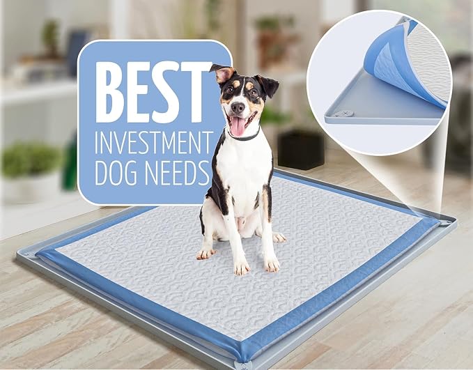TidyFriend Pee Pad Holder Tray 30 x 23 Inches, Silicone Dog Potty Tray, Easy to Clean No Spill Dog Potty Training Pad Holder (Light Grey)