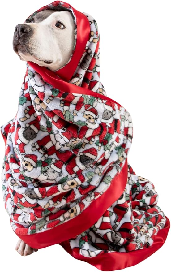 Darren & Phillip Santa Paws Blanket - Ultra-Soft Blankets Made with Plush Fleece - Perfect as a Dog Bed Blanket or for Cuddling with Your Pup - Ultra-Snuggly Blankets for Dogs & Humans