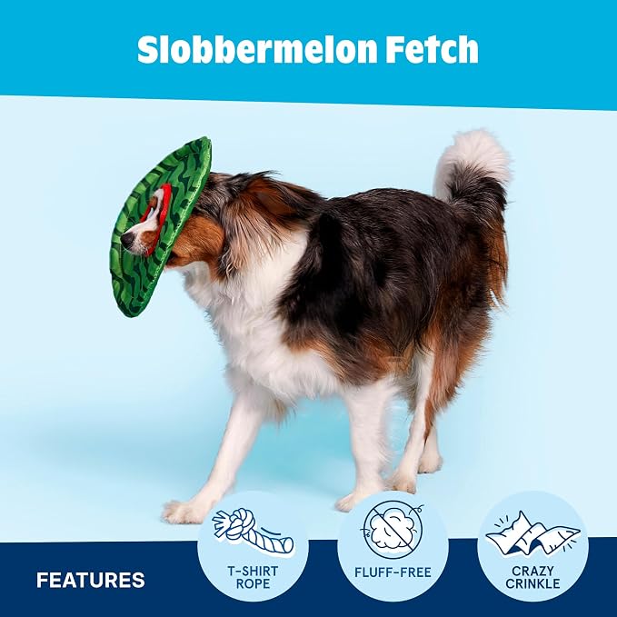 Barkbox Slobbermelon Fetch Flying Disc Dog Toy | Fluff-Free Crinkle Disc with T-Shirt Rope Edge | Durable Fetch & Tug Toy for Dogs & Puppies