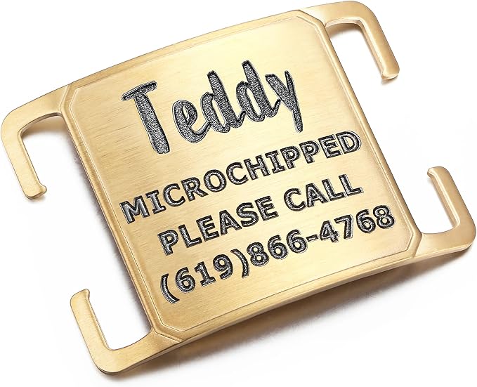 Rugged & Refined: Immovable Slide-On Pet ID Tag - Silent No-Noise Design - Deep Laser Engraved Horology-Grade Steel - Extra Large | PVD Gold