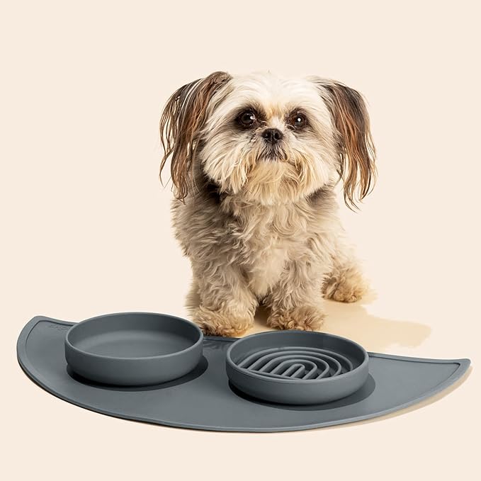 Should We Go? Slow Feeder Dog Bowls - Small Size Silicone Slow Eating Dog Bowl for Puppies & Dogs with Suction Cup -Dishwasher-Safe,Lick Mat Design,Reduces Gulping, for All Breeds, 6”x1.25”- Charcoal