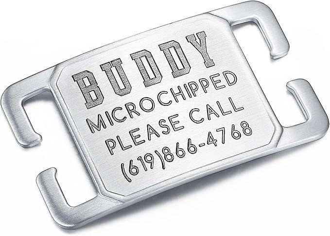 Rugged & Refined: Immovable Slide-On Pet ID Tag - Silent No-Noise Design - Deep Laser Engraved Horology-Grade Steel - Medium | Brushed Stainless Steel