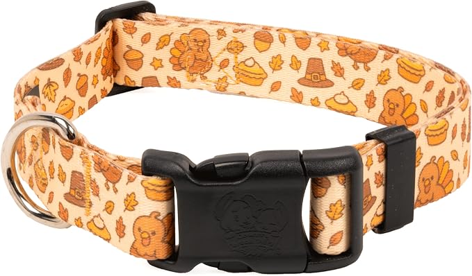 Country Brook Petz - Happy Harvest Everyday Dog Collar - Made in the U.S.A. - Awesome Autumn Collection Featuring Designs You Will Fall for (1 Inch, Medium)