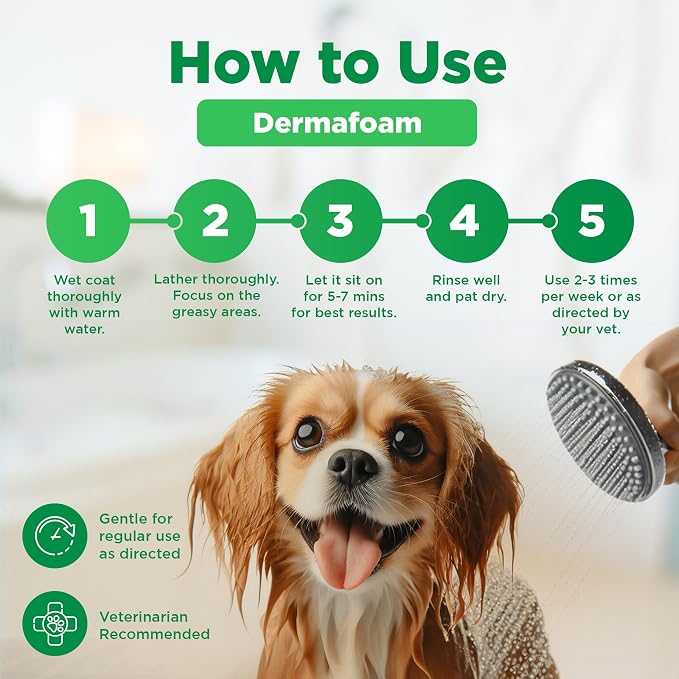 Pawfect DermaFoam Pet Shampoo Deep Cleansing for Greasy Coats & Deodorizing | A Canadian Company, Sulfate Free Moisturizing Formula with Aloe Vera & Bamboo Vinegar | Fresh Cucumber Scent 16.9 Oz