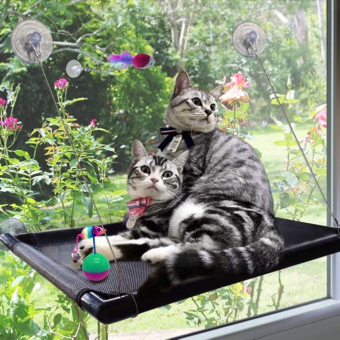 Cat Perch Cat Window Perch Window Cat Perch Hammock Cat Window Hammock Bed Cat Window Seat Kitty Window Sunny Seat Durable Big Pet Perch With Upgraded 4 Big Suction Cups Cat Bed Holds Up To 60lbs