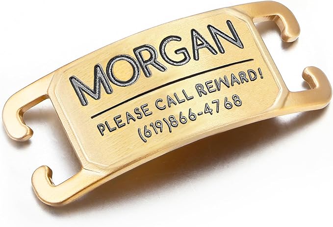 Rugged & Refined: Immovable Slide-On Pet ID Tag - Silent No-Noise Design - Deep Laser Engraved Horology-Grade Steel - Extra Small | PVD Gold