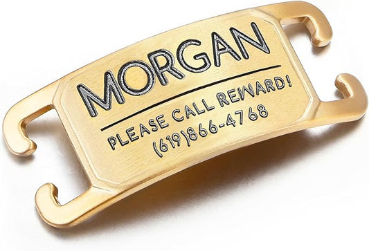 Rugged & Refined: Immovable Slide-On Pet ID Tag - Silent No-Noise Design - Deep Laser Engraved Horology-Grade Steel - Extra Small | PVD Gold