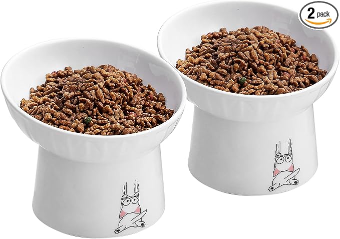6.5 Inch Extra Wide Ceramic Raised Cat Bowls, Tilted Elevated Cat Bowl | Prevent Neck, Whisker Fatigue, Anti Vomit, for Elder Big Cats & Small Dogs, Dishwasher Microwave Safe, 2 Pack, White