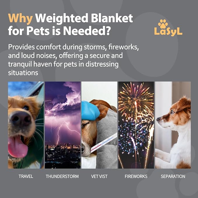 LaSyL Weighted Blanket for Pets | Thunder Blanket for Dogs Anxiety | Premium Soft Minky | Relaxation & Calming & Anti Anxiety | Used in Car, Bed, Couch | Dark Grey, Washable Large (40"x47")