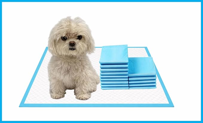 Go Go Gracie Leak-Proof Dog and Puppy Potty Training Pee Pads with Quick-Dry 5-Layer Super Absorbent Surface for Floor Protection, Medium Size, 23.62x17.72, Blue & White, 50 Count