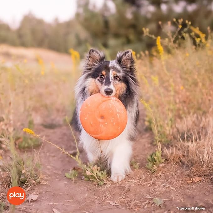P.L.A.Y. Cute Outdoor Dog Toys - ZoomieRex InfiniDisc Rubber Frisbee, Great for Puppies & Small, Medium, Large Dogs - Dishwasher Safe, Lightweight, Floats in Water, Beach Friendly (Orange, Small)