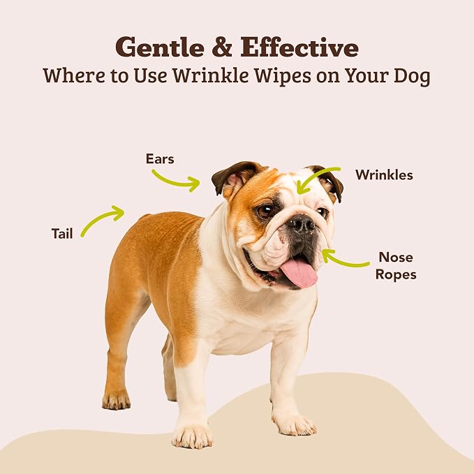 Natural Dog Company Wrinkle Wipes for Dogs, 100 Count, Hypoallergenic, Cleaning & Deodorizing, for Grooming Faces, Paws & Butts
