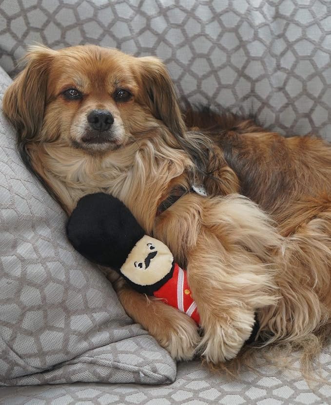 PetLondon British London Royal Guard Plush Dog Toy, Squeaky and 6" Plush London Queen Guard Puppy Toy, Cute Fun Royal London Union Jack Dog Interactive Toy