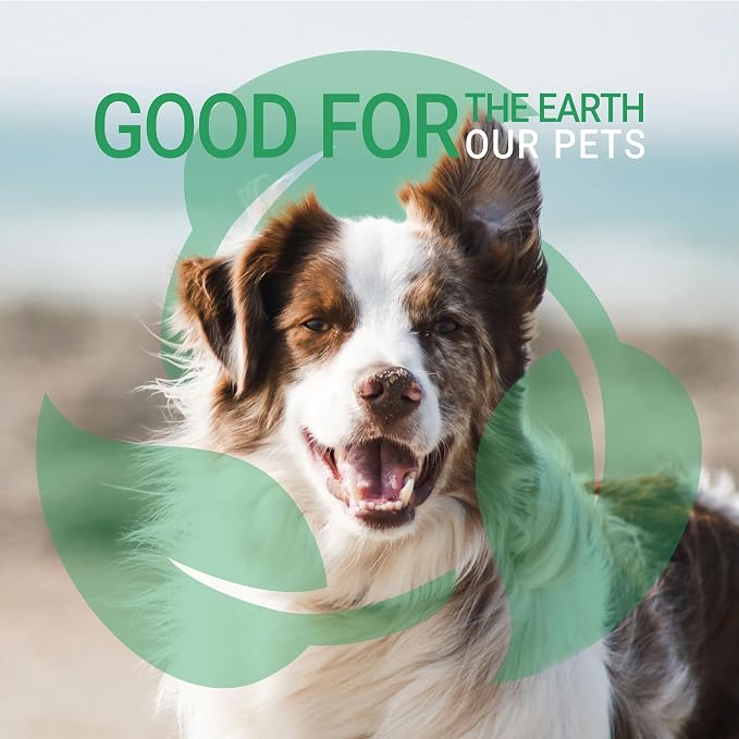 Green Groom Oatmeal Shampoo for Dogs with Dry Itchy Skin Relief, 1 Gallon | 32:1 Concentrate, Colloidal Oatmeal and Coconut Oil Calm Irritated Skin, Moisturizing Pet Grooming Wash, Groomer Grade