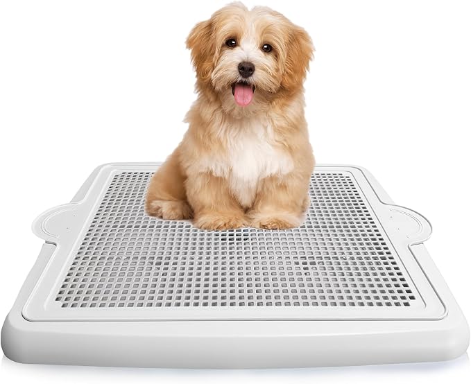 Dog Potty Tray with Raised Mesh – No More Wet Paws or Mess – Leak Proof Pee Pad Holder for Indoor Puppy Training – Easy Clean, Anti-Slip – Alpha Dog Series (22” x 17”)