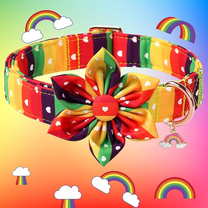 DOGWONG Rainbow Dog Collar with Flower for LGBT Pride Month - Adjustable and Comfortable LGBT Pride Dog Collar for Large Medium Small Pet