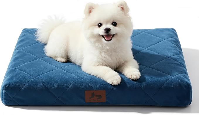 Orthopedic Dog Beds for Small Dogs, Washable Pet Bed Mat with Removable Cover, Waterproof Egg Crate Foam Puppy Bed Anti Slip, 23" x 18", NOT for Chewers