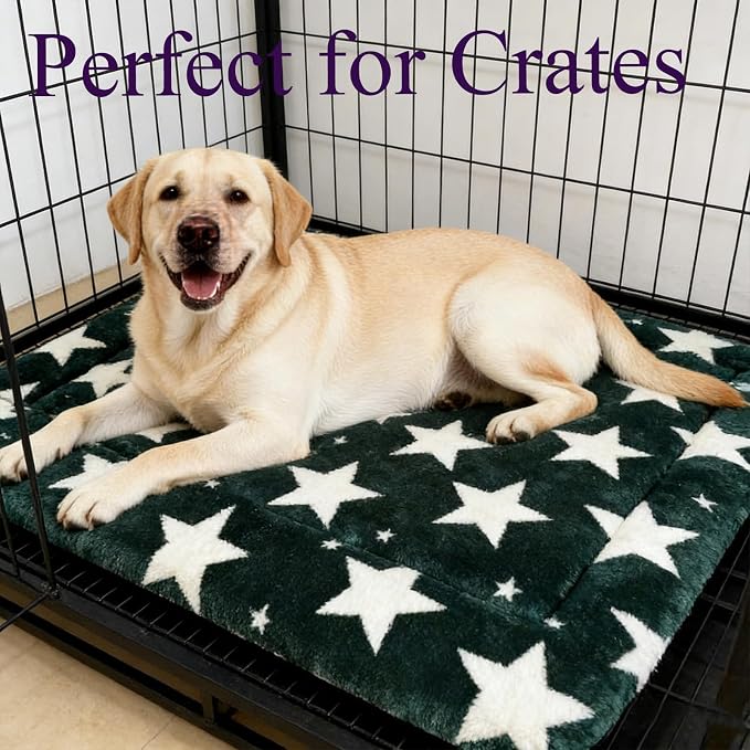 Dog Bed Mat, Reversible Crate Pad & Durable Dog Bed - Machine Washable Kennel Mat with Ultra Soft for Large Dogs (Big&Small Stars Green, 35" L*23" W*1.5" Th)