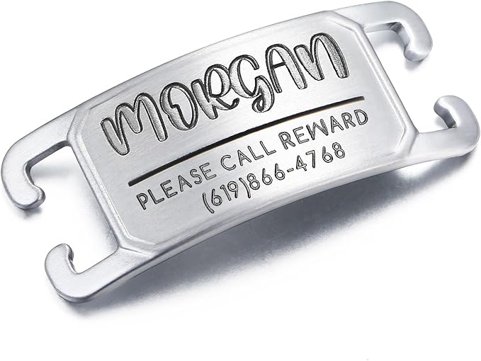 Rugged & Refined: Immovable Slide-On Pet ID Tag - Silent No-Noise Design - Deep Laser Engraved Horology-Grade Steel - Extra Small | Brushed Stainless Steel