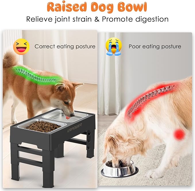 URPOWER Raised Dog Bowls 4 Height Adjustable Elevated Bowl Stand | Stainless Steel Water Bowl Non-Slip Dog Food Bowls Stand for Small Medium Large Dogs and Pets