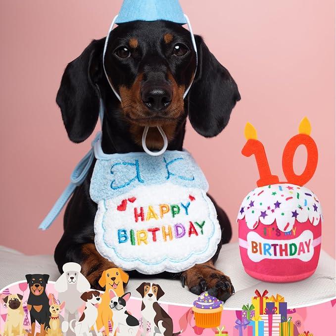 Dansydaisy Dog Birthday Cake Toy Squeaky Plush Toy for Girl Boy Gifts, Chew Accessories for Dog Birthday Party Decor Favor for Large, Medium and Small Dogs(10th,Pink)
