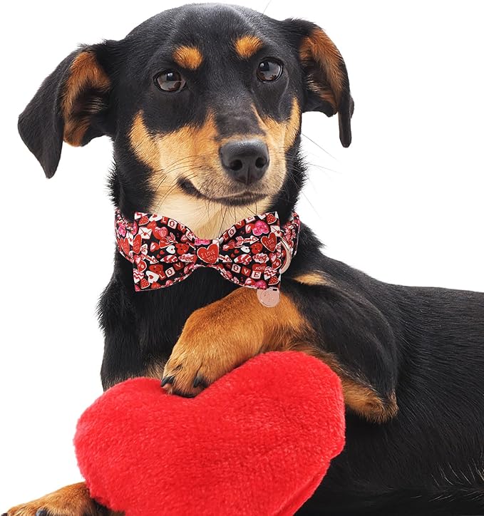 DOGWONG Valentine's Dog Collar with Bow - Cute Heart Bowtie Dog Collars, Adjustable Valentine Pink Candy Heart Pet Design Dog Collar with Quick Release Buckle for Puppy Girl Boy Dogs