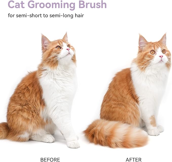 aumuca Cat and Dog Grooming Brush for Shedding, Removes Loose Fur from Long or Short Haired Pets - Ideal for Cats, Kittens, Rabbits, and More - Purple | Self Cleaning Pet Brush for Long or Semi-Short Haired Cats, Removing Loose Fur & Tangles and Massage