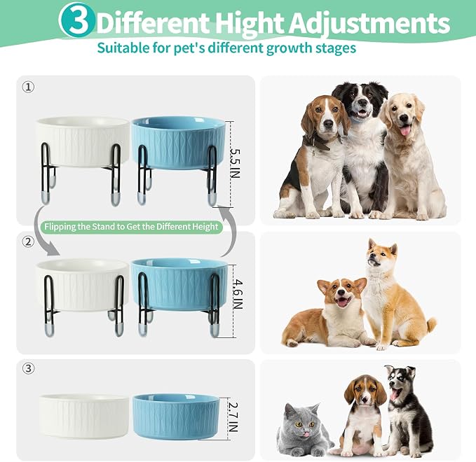 32 OZ Ceramic Dog Bowls with Metal Stand, 6.5 Inch Elevated Cat Bowl Set | Raised Pet Food Water Dish, 2 Heights, for Cats & Dogs, Prevent Neck Fatigue, Light Green
