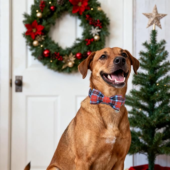DOGWONG Christmas Dog Collar with Bow Tie, Red Blue Plaid Dog Collar Durable Metal Buckle Adjustable Soft & Cute Red Checkered Dogs Collars for Small Medium Large Dogs, L