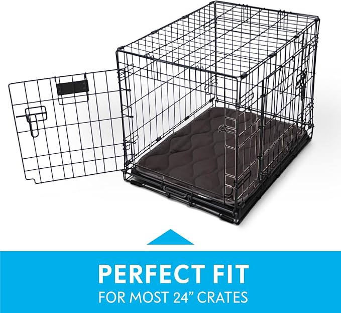 Paw Inspired Washable Padded Crate Mats for Dogs, Gray, 23x17 Inch | Fits 24-inch Kennels, Leakproof, Waterproof Bottom, Plush Dog Pad, Pet Bed