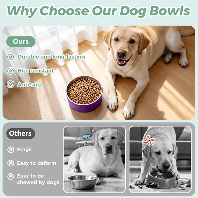 LIHONG Stainless Steel Dog Bowls for Small Medium Sized Dogs Non Slip,Insulated Dog Bowl,Pet Bowl for Food and Water,Rustproof(40oz,Purple)