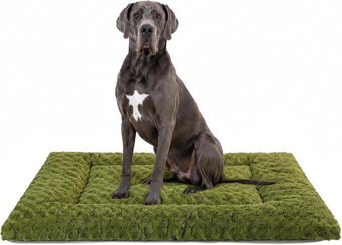 Exsnugy Washable Dog Bed Mat Large Size Fluffy Pet Crate Pad 48x30 XXL | Non-Slip Bottom Kennel Beds Ultra Soft Comfy Sleeping Mattress for Large Medium Small Dogs Green