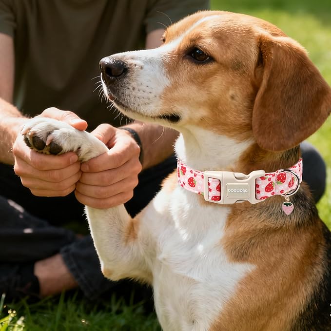 DOGWONG Cotton Handmade Daisy Flower Dog Collar Cute Pink Strawberries Dog Collars with Pendant for Girl Boy Dogs,M